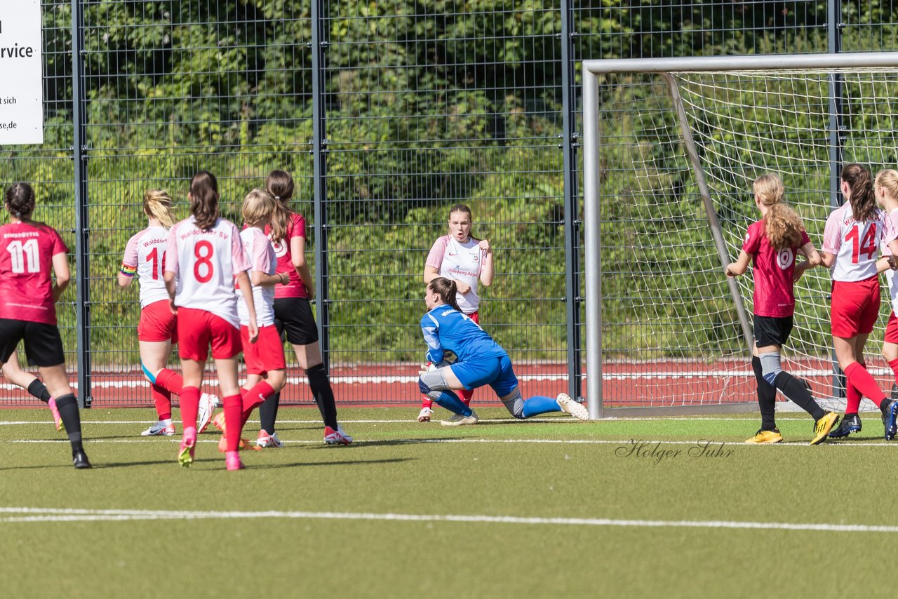 Bild 63 - wBJ Walddoerfer - Eimsbuettler TV : Ergebnis: 1:6